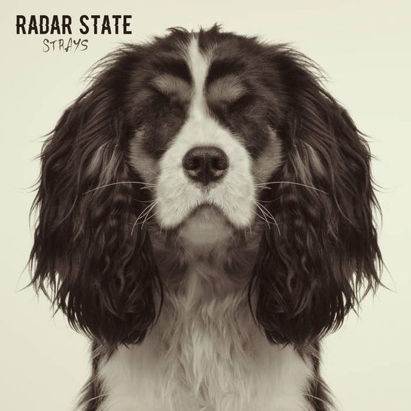 Radar State - Strays